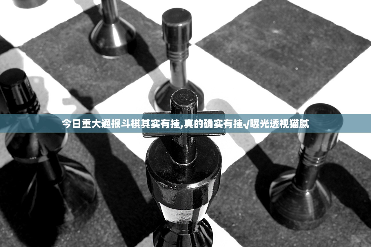 今日重大通报斗棋其实有挂,真的确实有挂√曝光透视猫腻