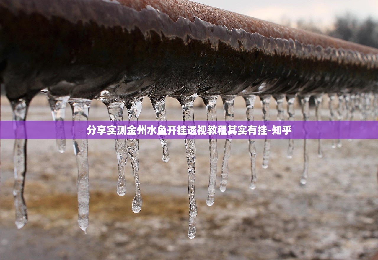 分享实测金州水鱼开挂透视教程其实有挂-知乎