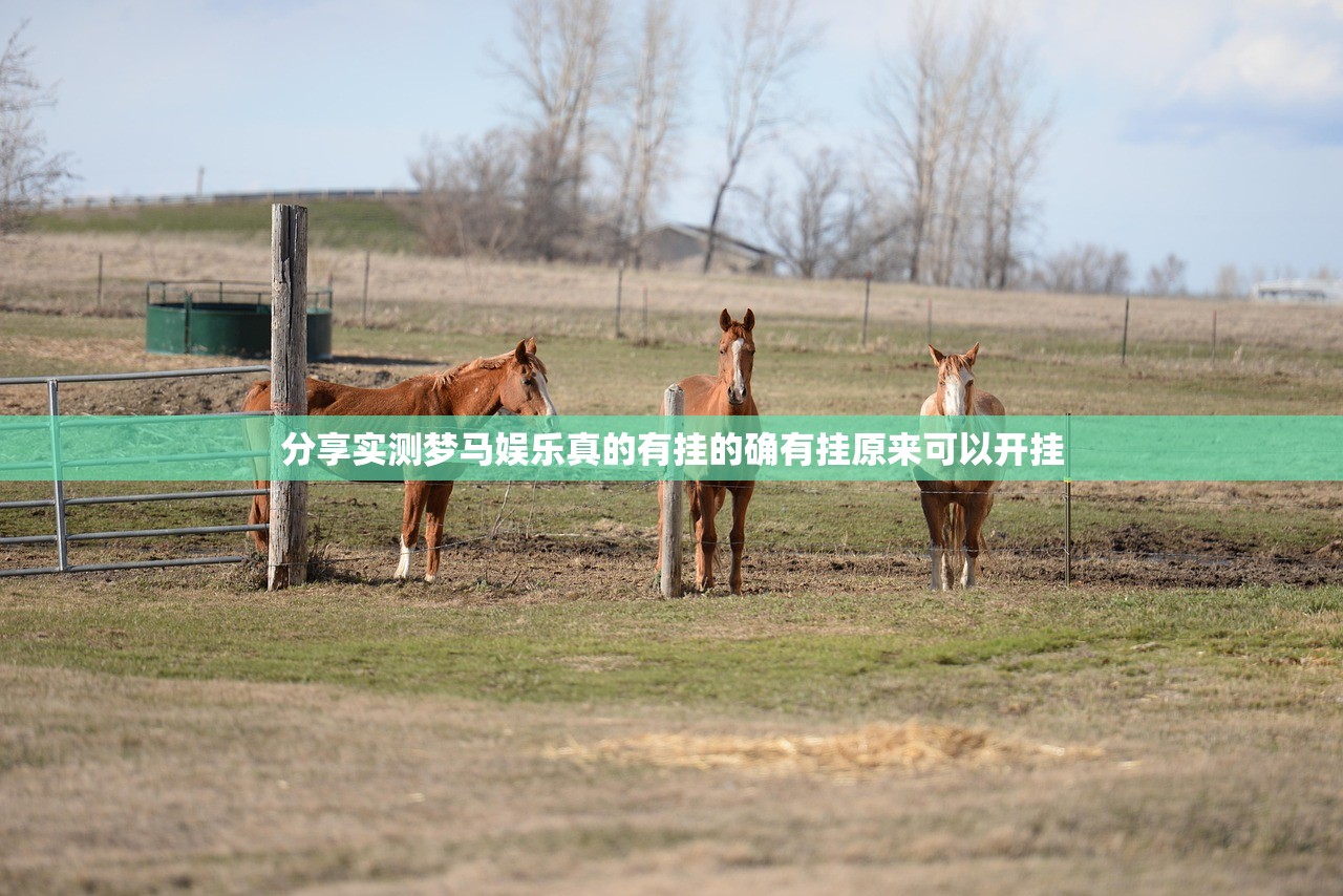 分享实测梦马娱乐真的有挂的确有挂原来可以开挂