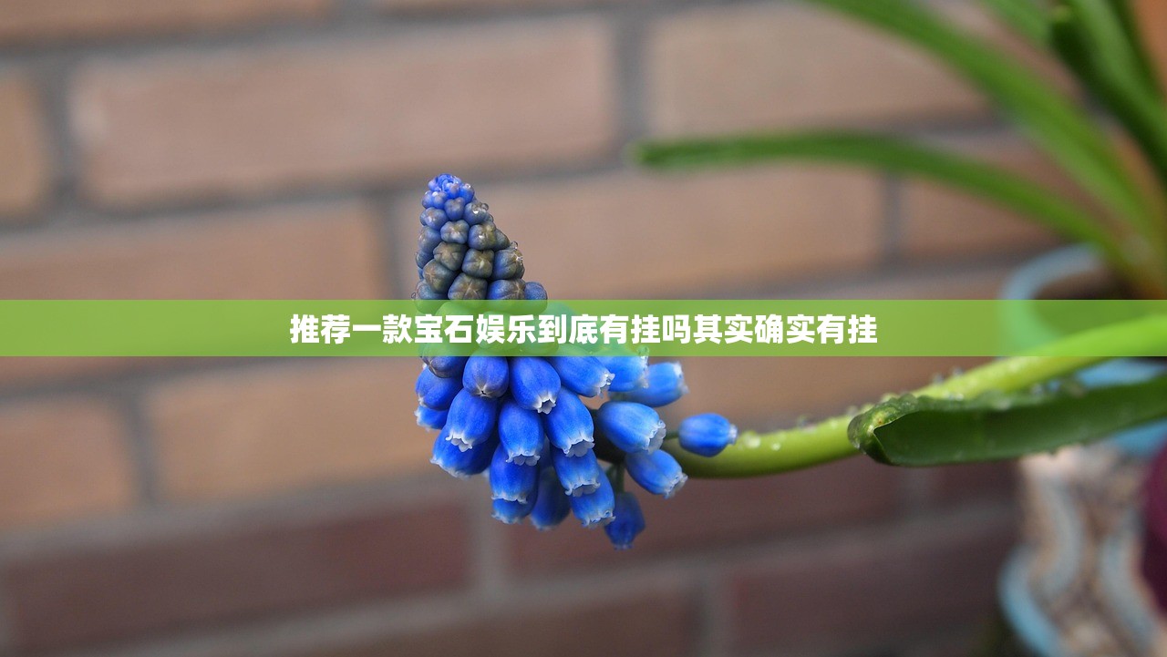 推荐一款宝石娱乐到底有挂吗其实确实有挂
