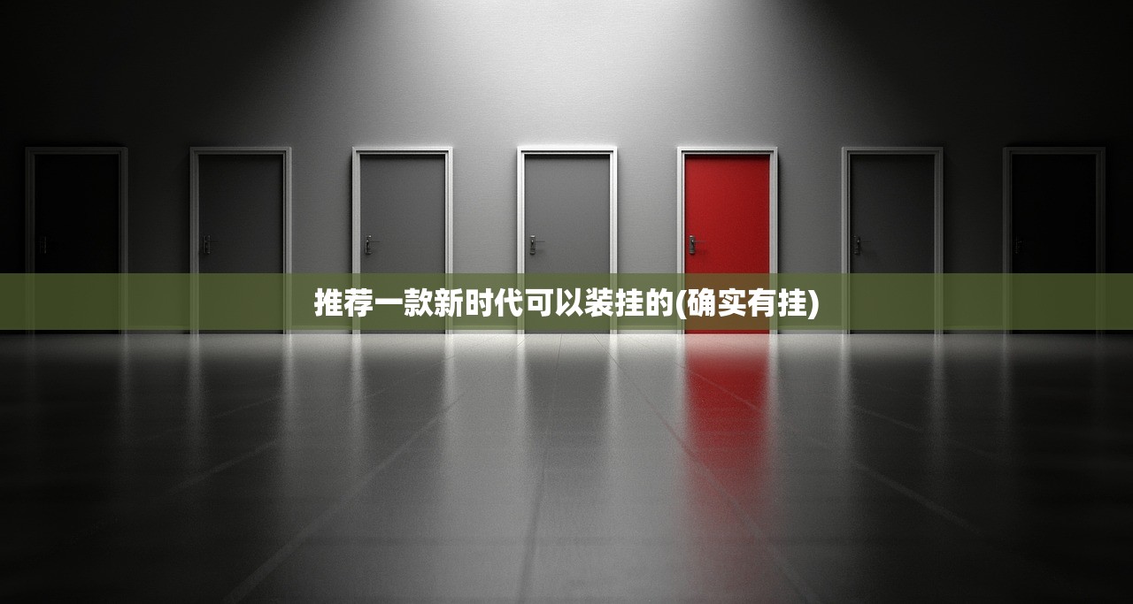 推荐一款新时代可以装挂的(确实有挂)