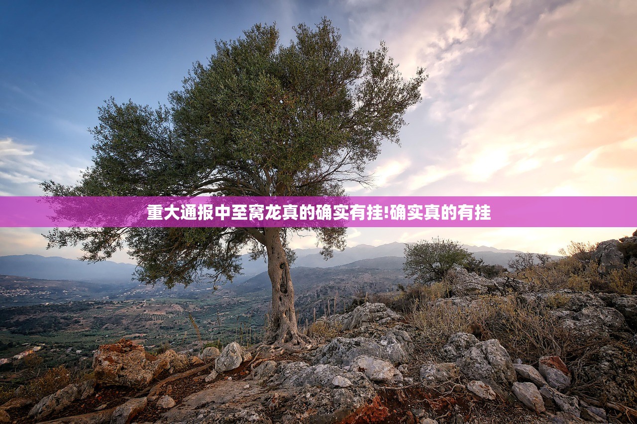 重大通报中至窝龙真的确实有挂!确实真的有挂
