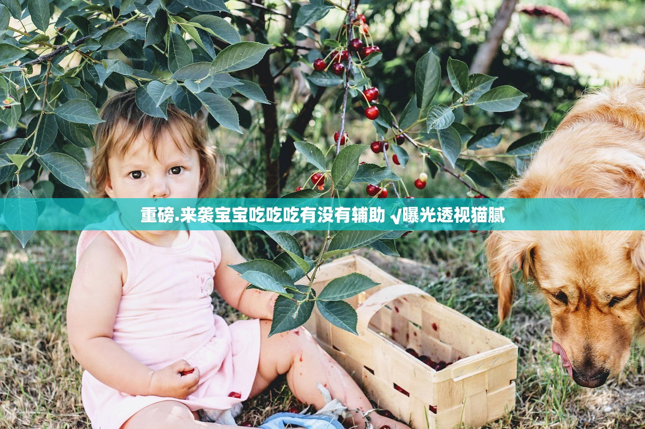 重磅.来袭宝宝吃吃吃有没有辅助 √曝光透视猫腻