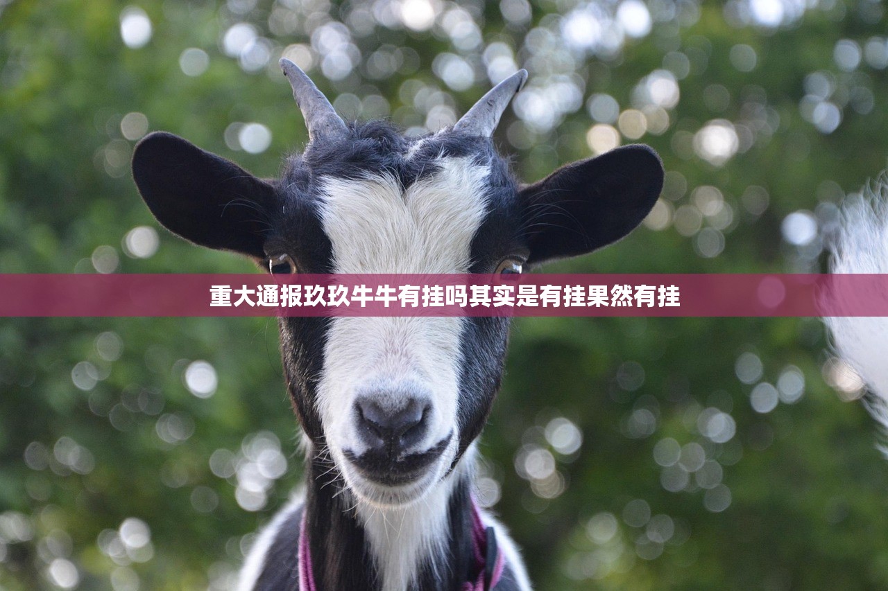 重大通报玖玖牛牛有挂吗其实是有挂果然有挂
