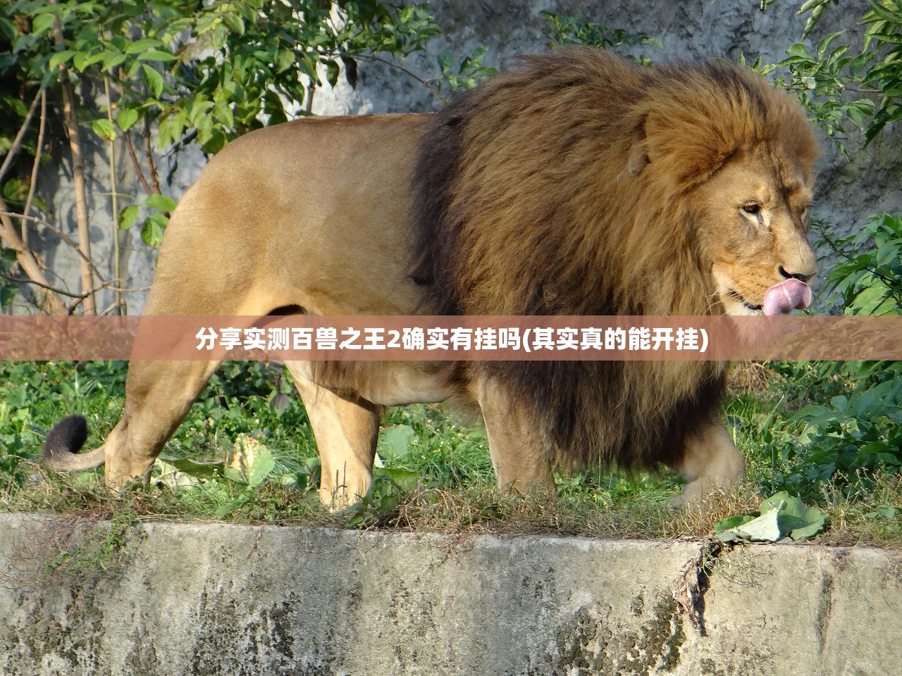 分享实测百兽之王2确实有挂吗(其实真的能开挂)