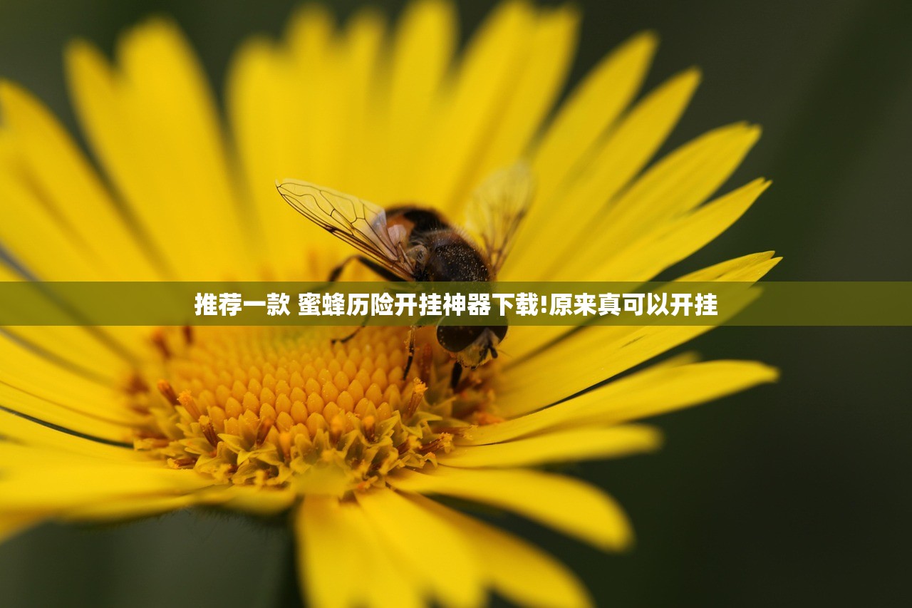 推荐一款 蜜蜂历险开挂神器下载!原来真可以开挂