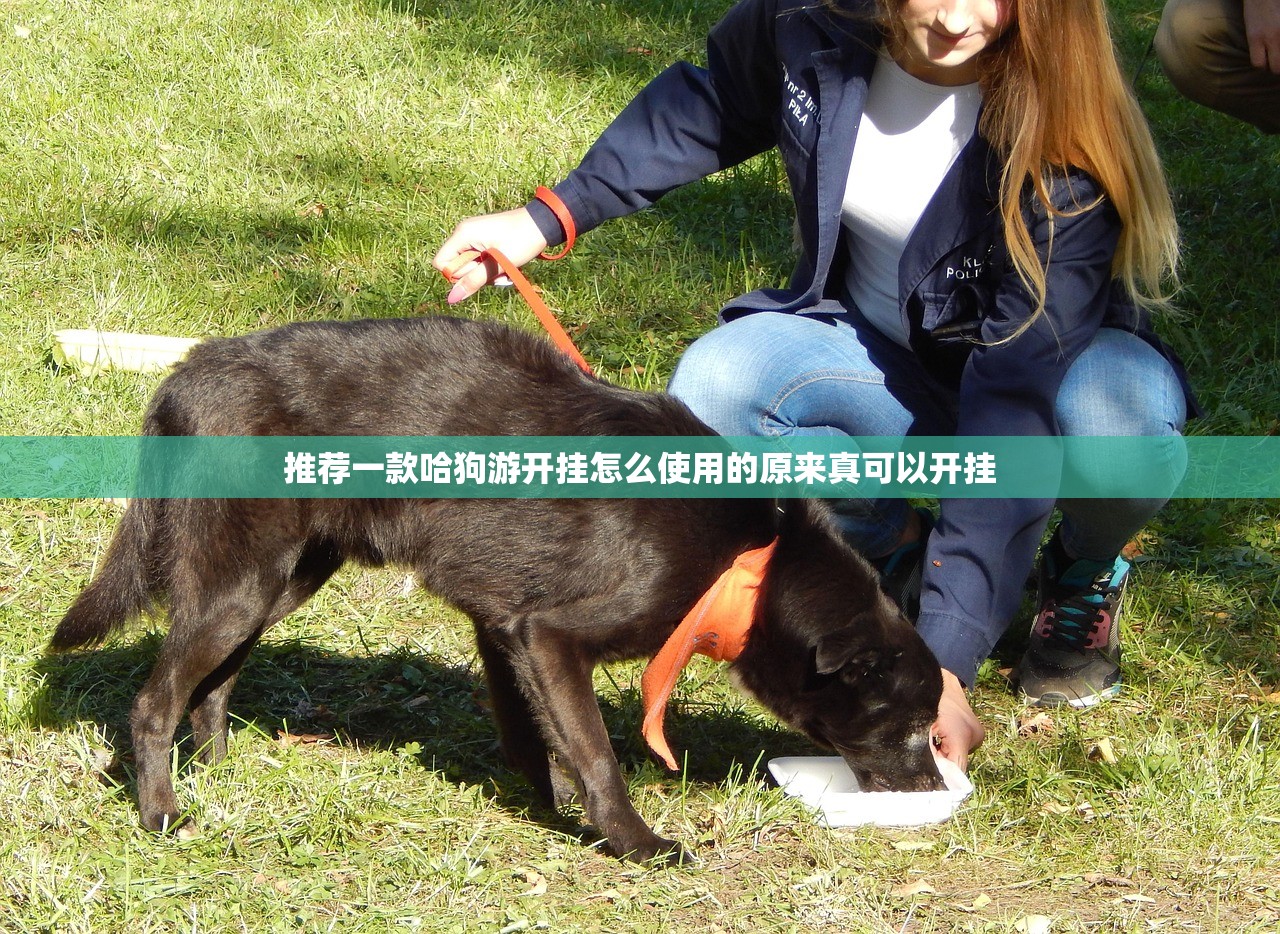 推荐一款哈狗游开挂怎么使用的原来真可以开挂