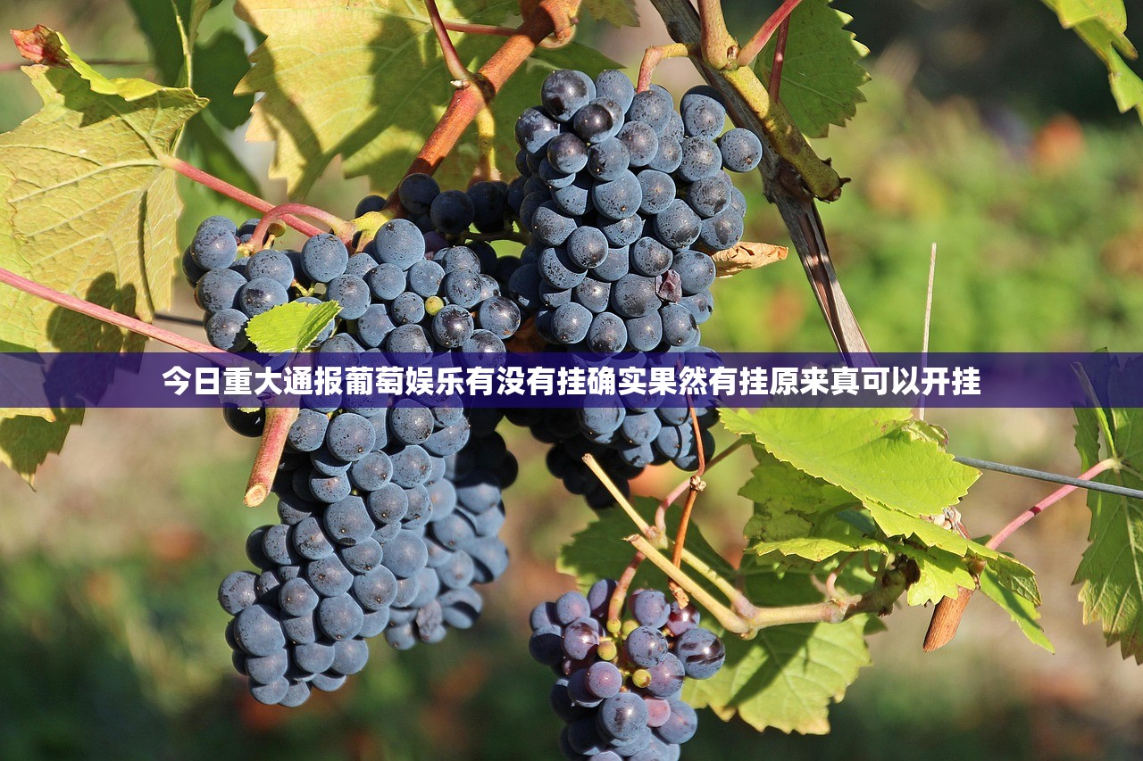 今日重大通报葡萄娱乐有没有挂确实果然有挂原来真可以开挂