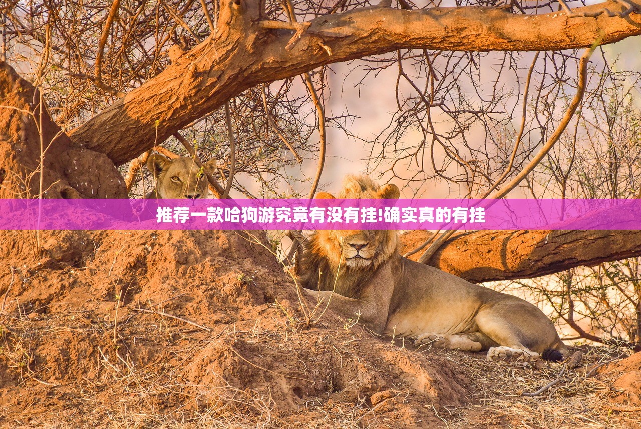 推荐一款八喜休闲确实有挂吗!原来可以开挂