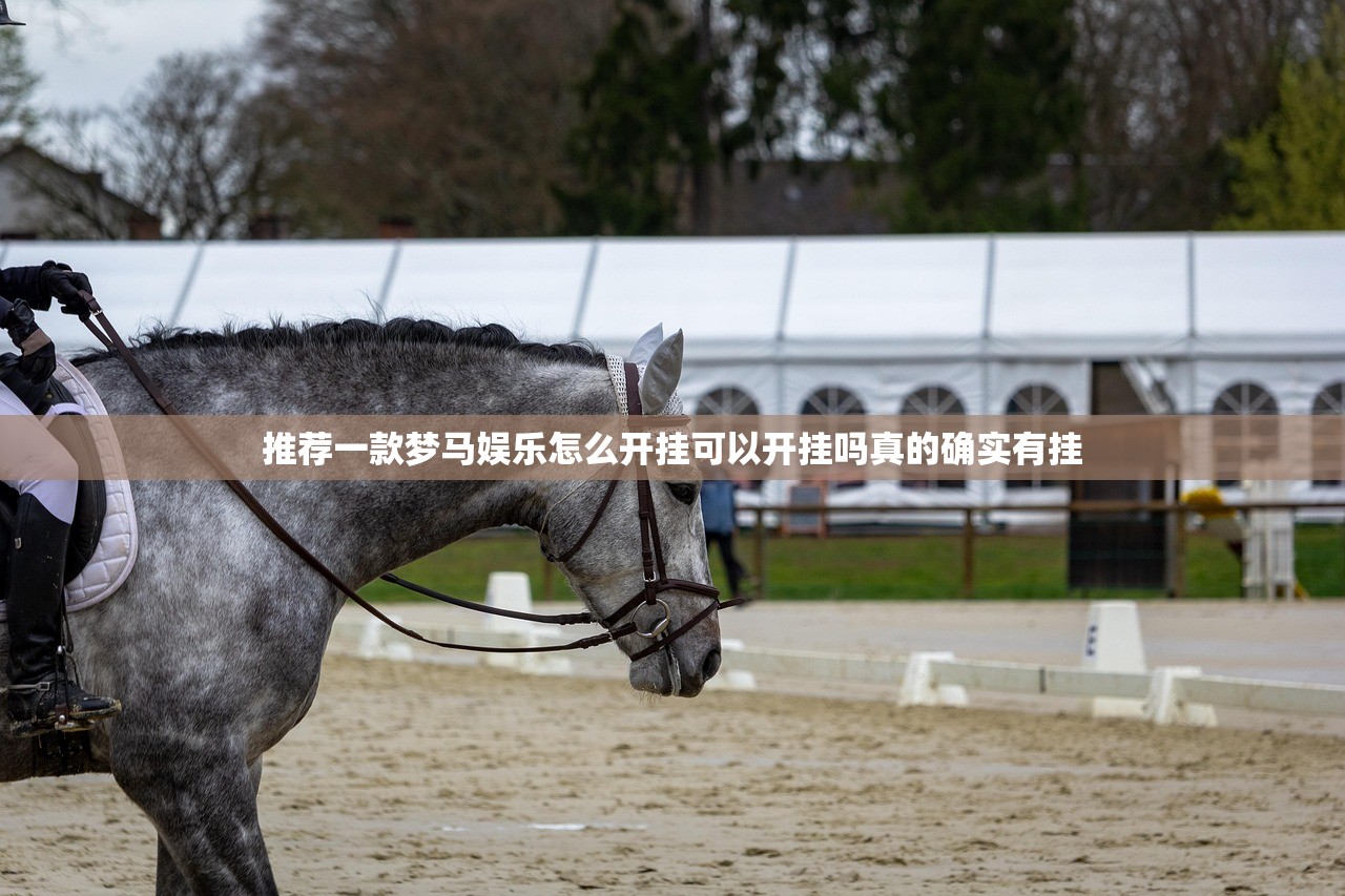 推荐一款梦马娱乐怎么开挂可以开挂吗真的确实有挂