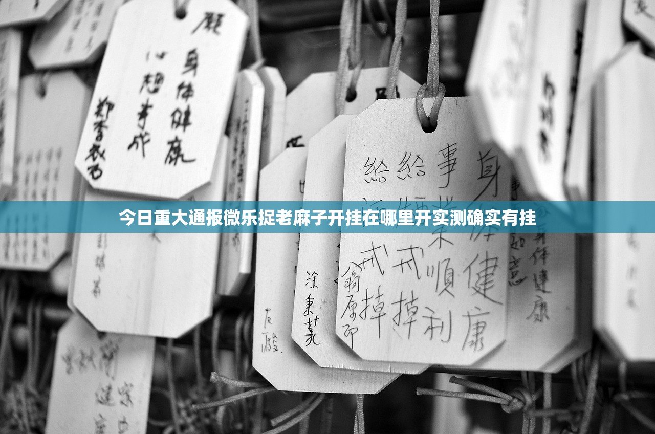 今日重大通报微乐捉老麻子开挂在哪里开实测确实有挂
