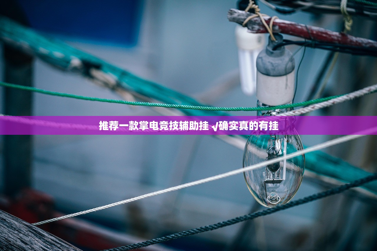 推荐一款掌电竞技辅助挂 √确实真的有挂