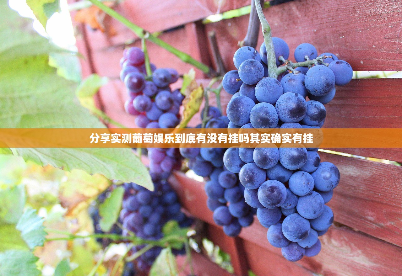 分享实测葡萄娱乐到底有没有挂吗其实确实有挂