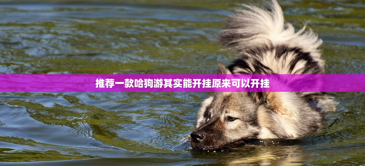 推荐一款哈狗游其实能开挂原来可以开挂