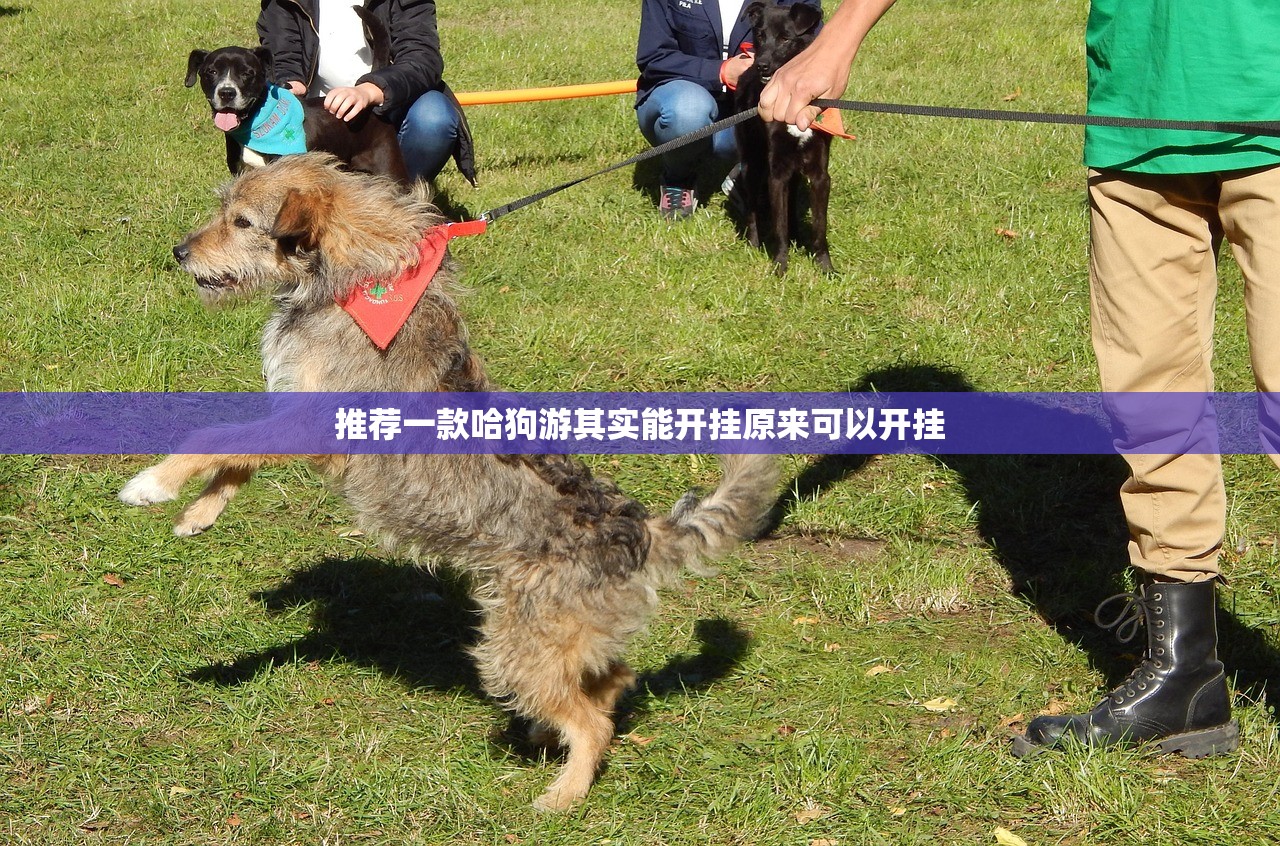 推荐一款哈狗游其实能开挂原来可以开挂