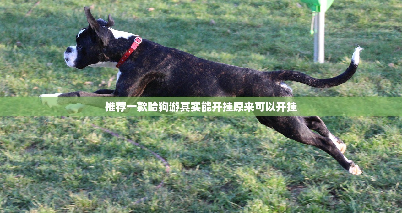 推荐一款钱塘十三水到底是不是挂真的确实有挂
