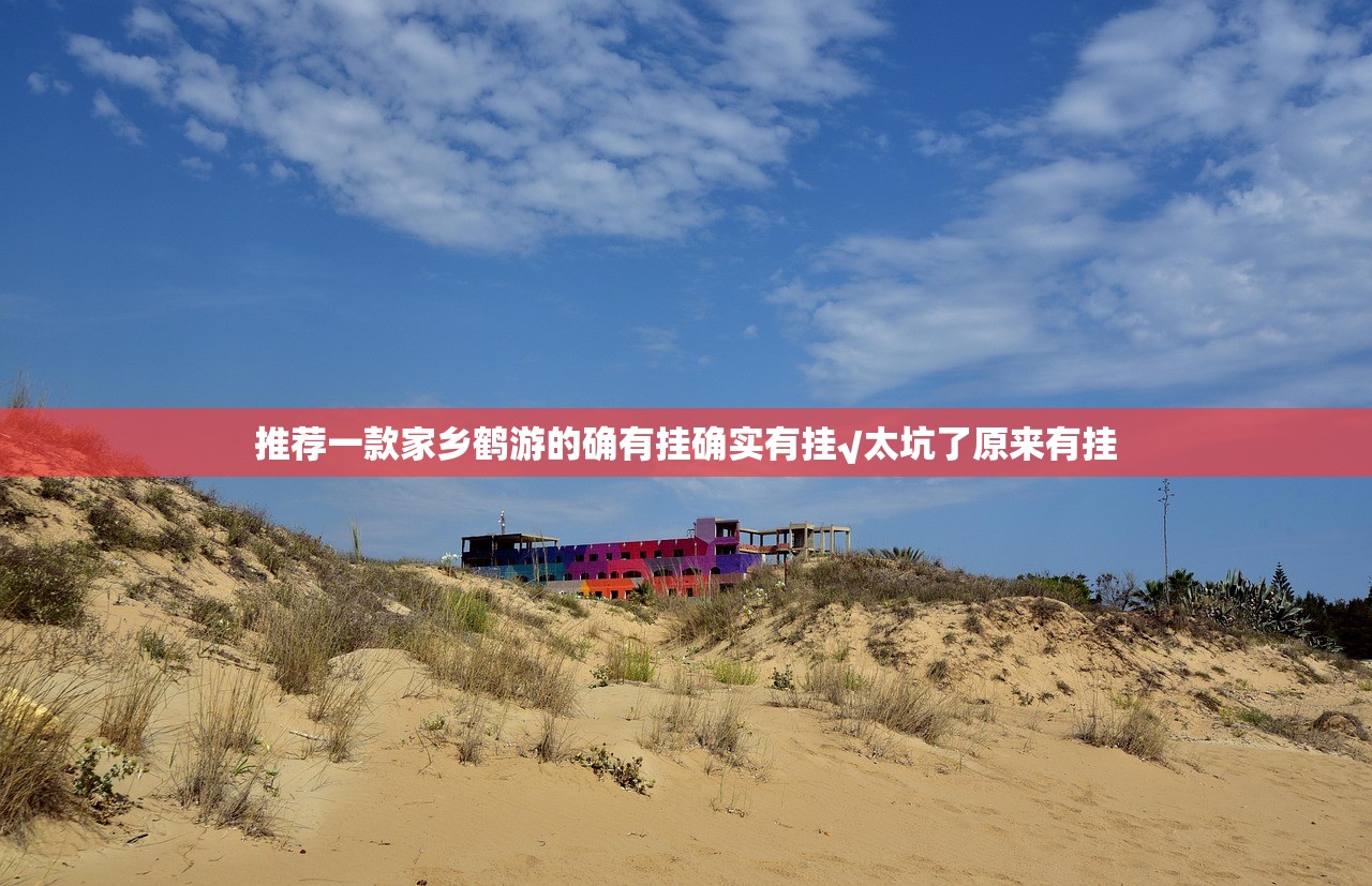 推荐一款家乡鹤游的确有挂确实有挂√太坑了原来有挂