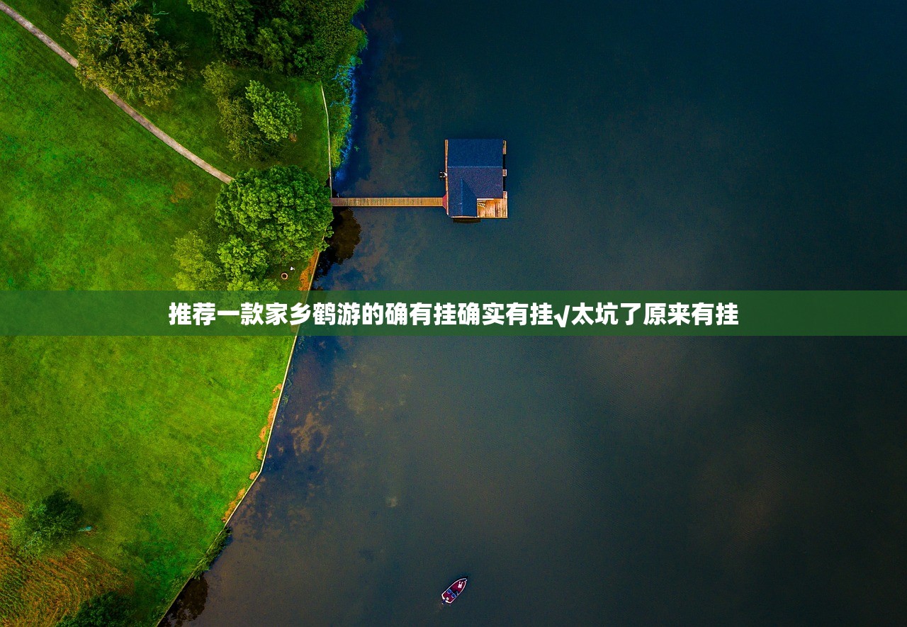 推荐一款家乡鹤游的确有挂确实有挂√太坑了原来有挂