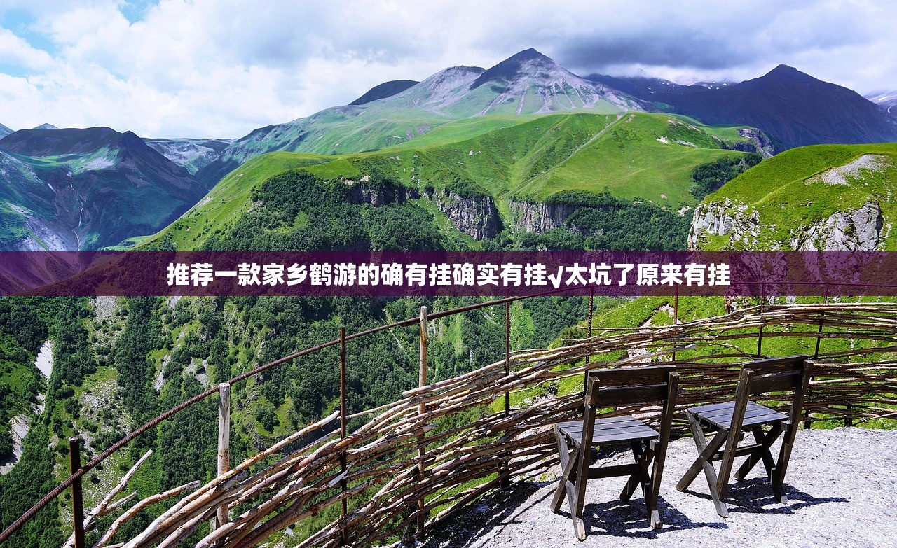 推荐一款家乡鹤游的确有挂确实有挂√太坑了原来有挂