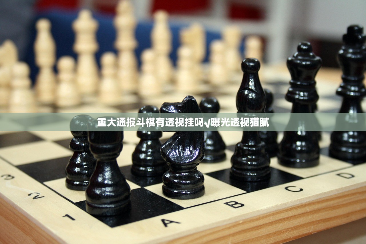 重大通报斗棋有透视挂吗√曝光透视猫腻