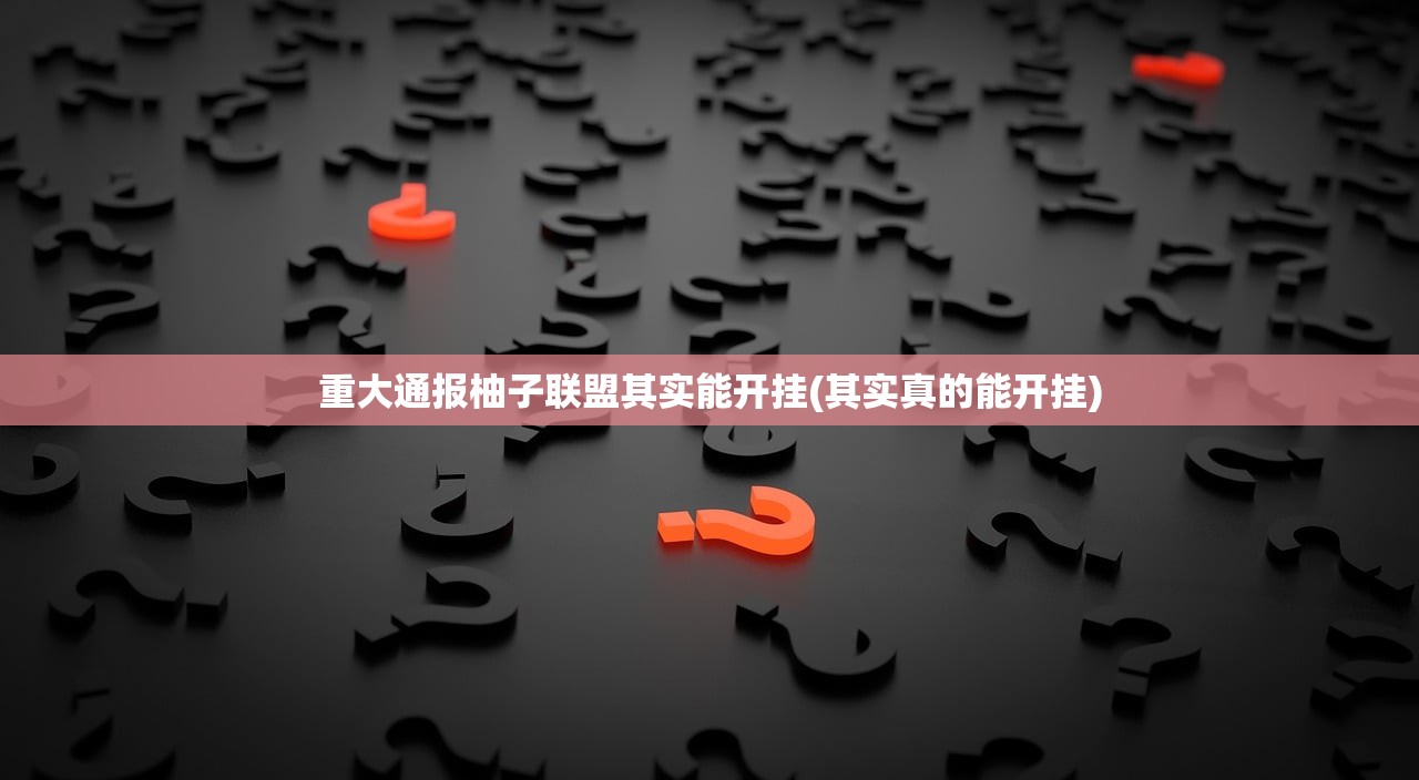 重大通报柚子联盟其实能开挂(其实真的能开挂)