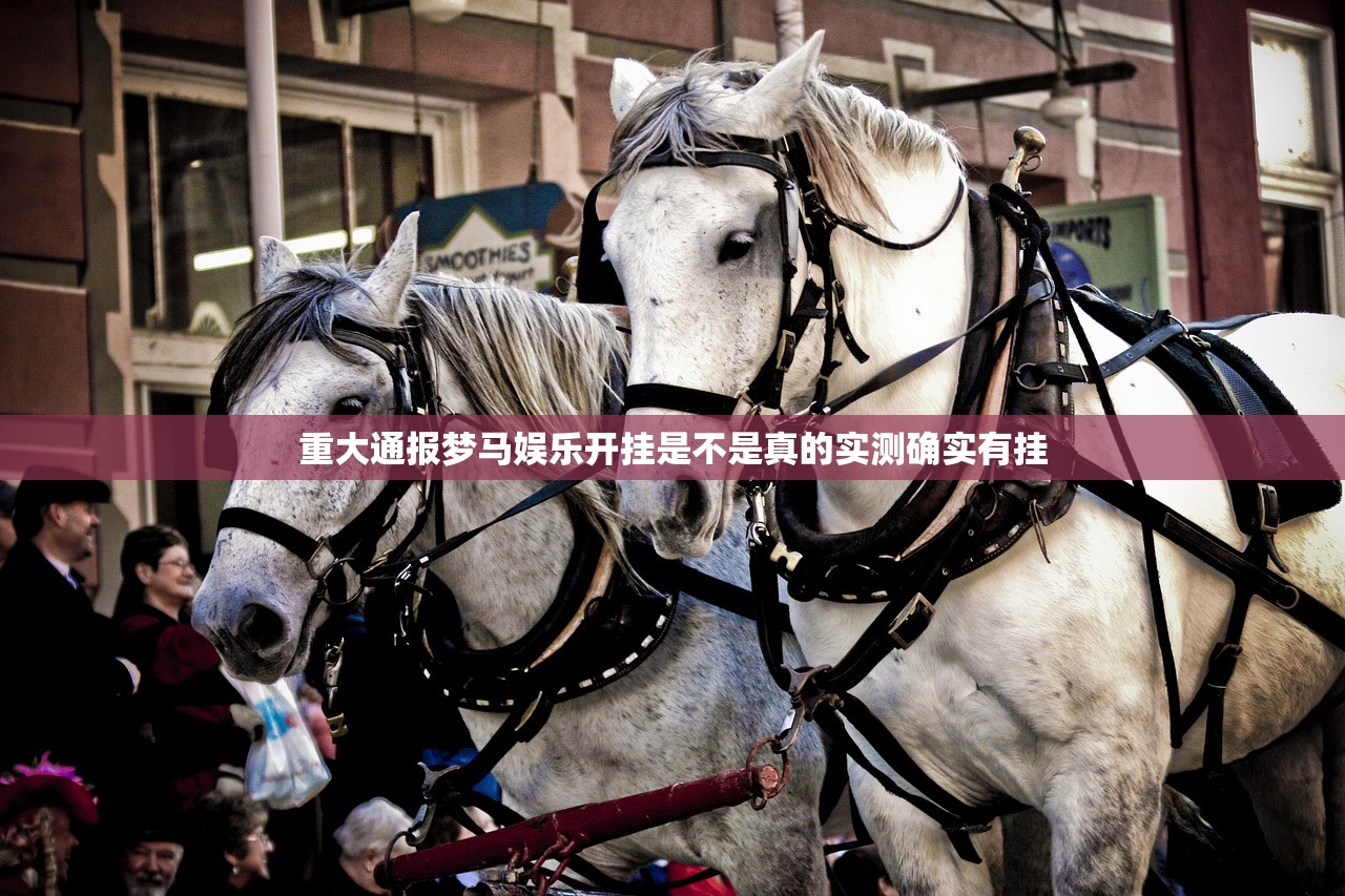 重大通报梦马娱乐开挂是不是真的实测确实有挂