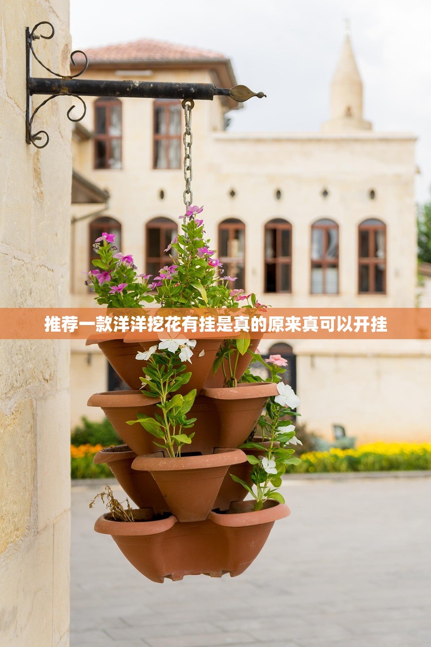 推荐一款洋洋挖花有挂是真的原来真可以开挂