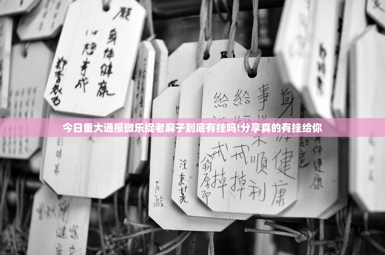 今日重大通报微乐捉老麻子到底有挂吗!分享真的有挂给你