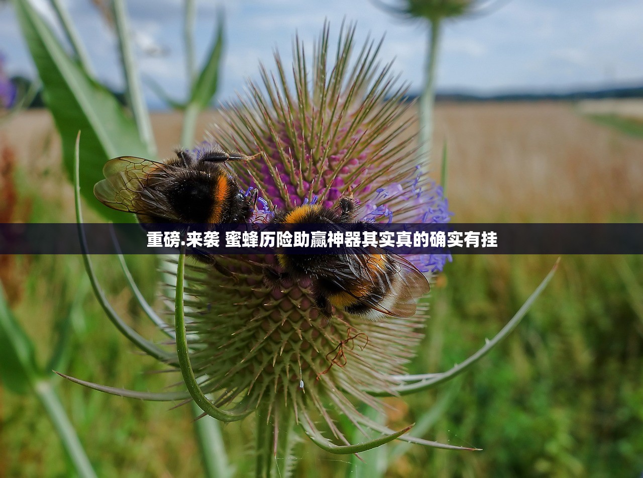 重磅.来袭 蜜蜂历险助赢神器其实真的确实有挂