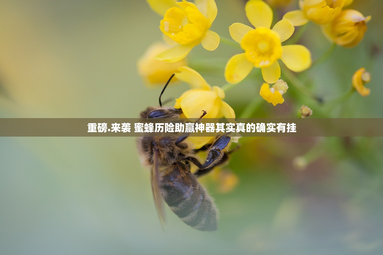 重磅.来袭 蜜蜂历险助赢神器其实真的确实有挂