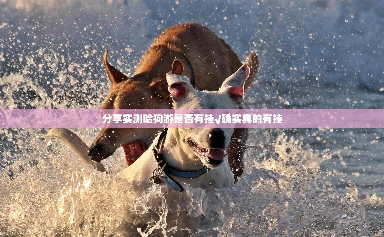 分享实测哈狗游是否有挂√确实真的有挂
