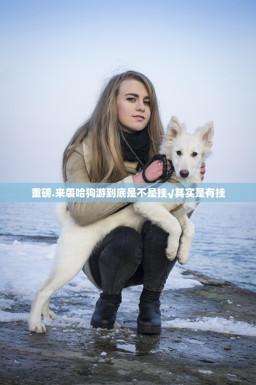 重磅.来袭哈狗游到底是不是挂√其实是有挂