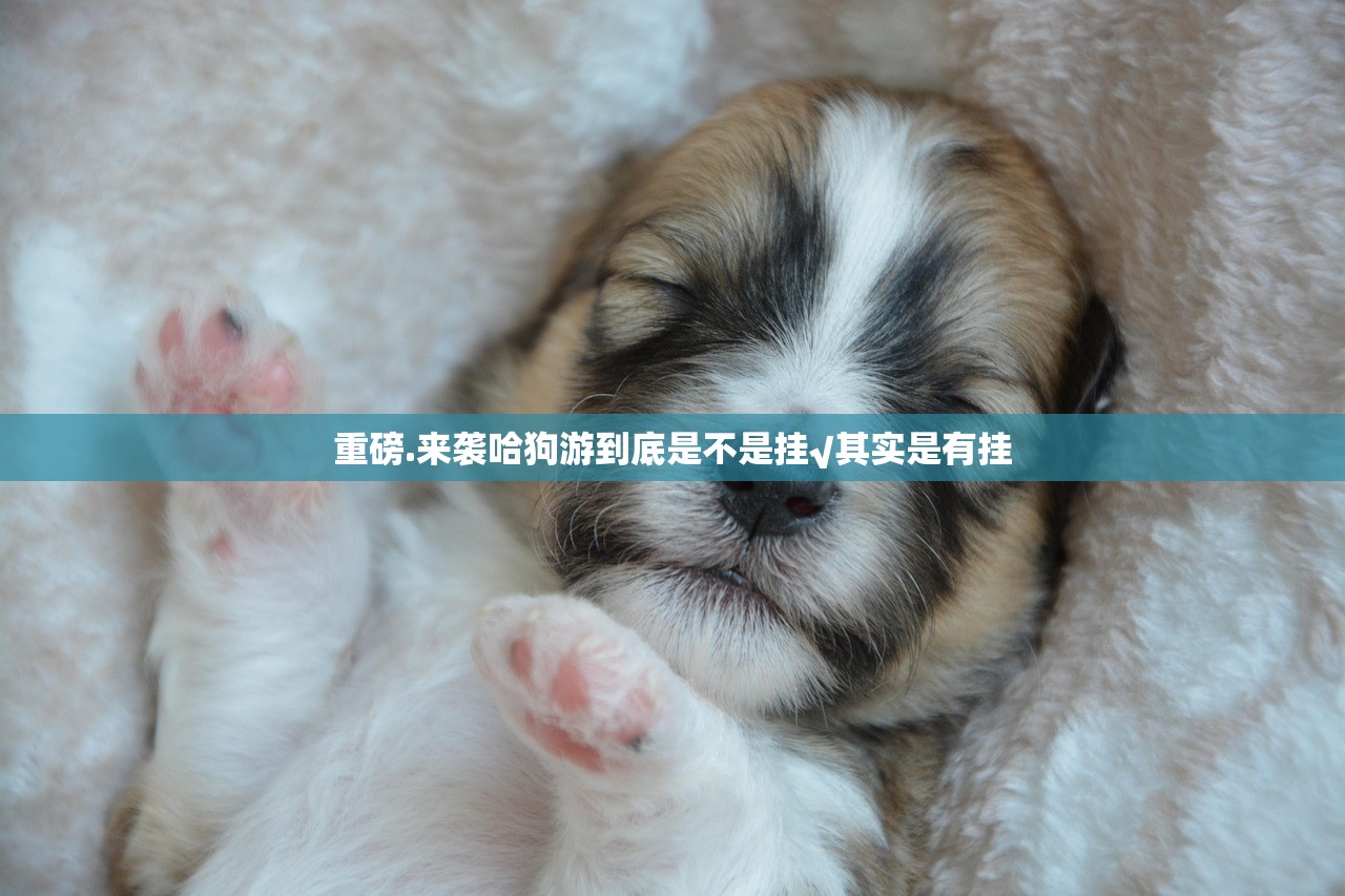 重磅.来袭哈狗游到底是不是挂√其实是有挂