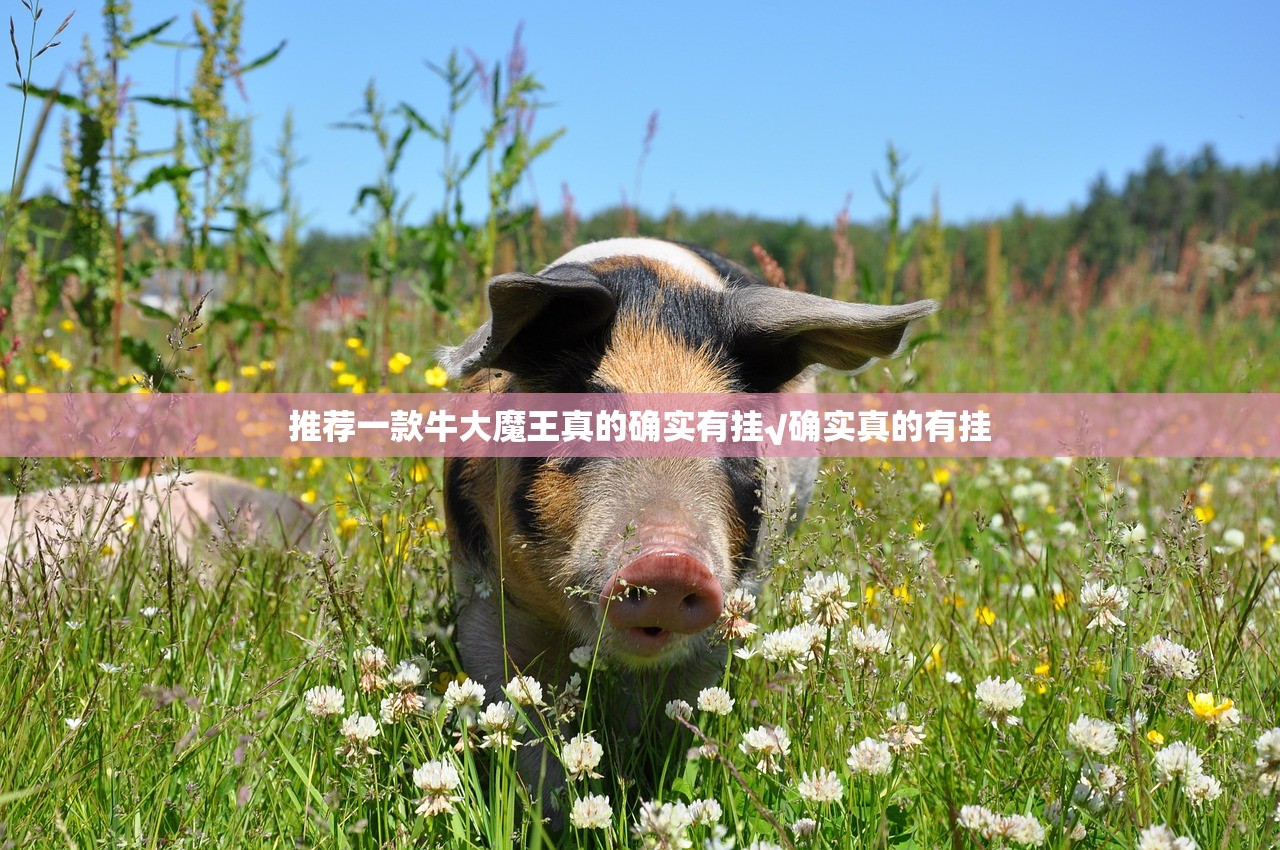 推荐一款牛大魔王真的确实有挂√确实真的有挂