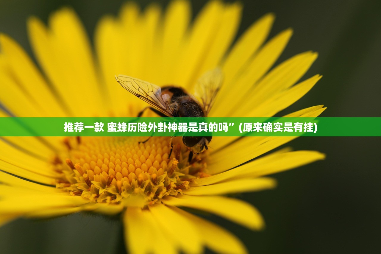 推荐一款 蜜蜂历险外卦神器是真的吗”(原来确实是有挂)