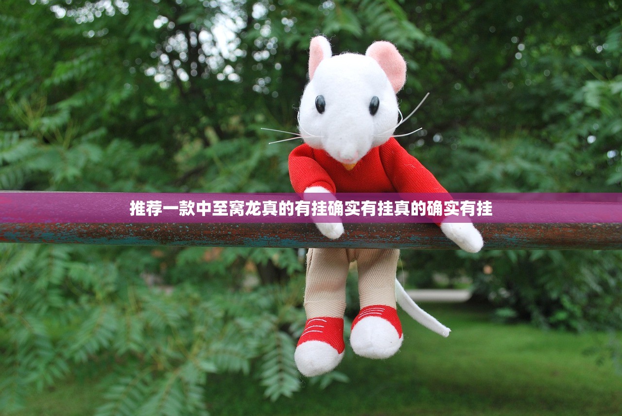 推荐一款中至窝龙真的有挂确实有挂真的确实有挂