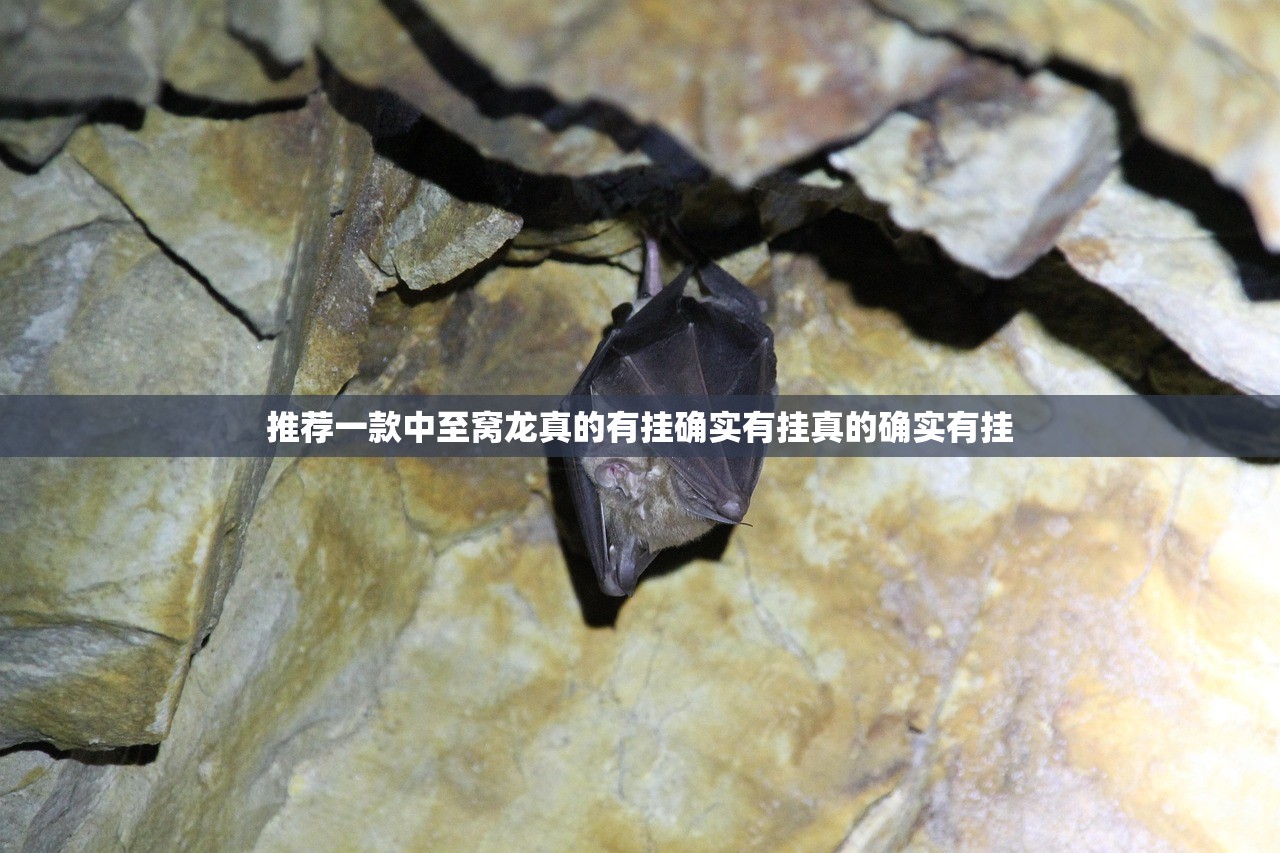 推荐一款中至窝龙真的有挂确实有挂真的确实有挂