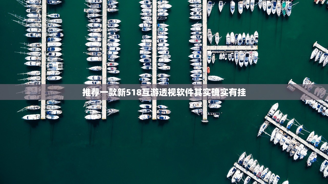 推荐一款新518互游透视软件其实确实有挂