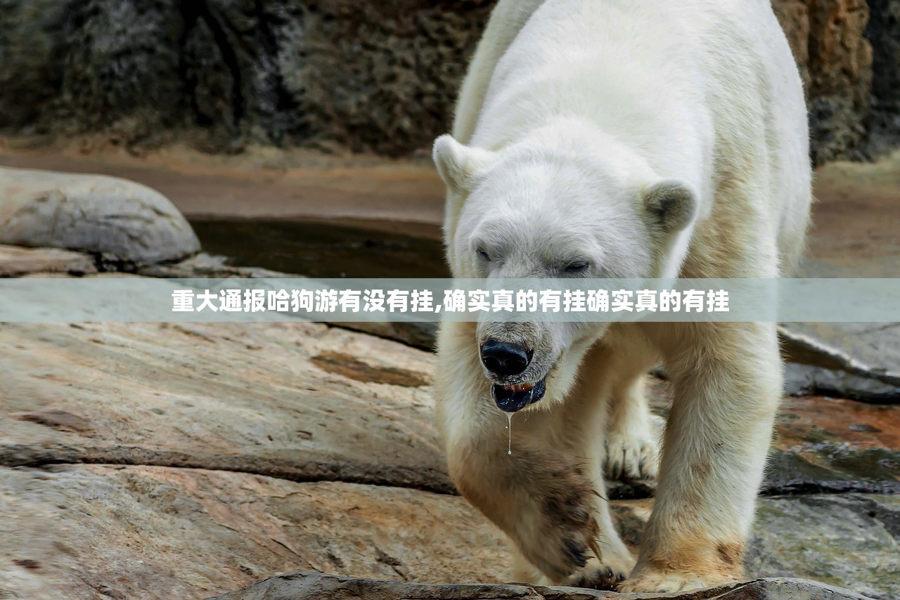重大通报哈狗游有没有挂,确实真的有挂确实真的有挂