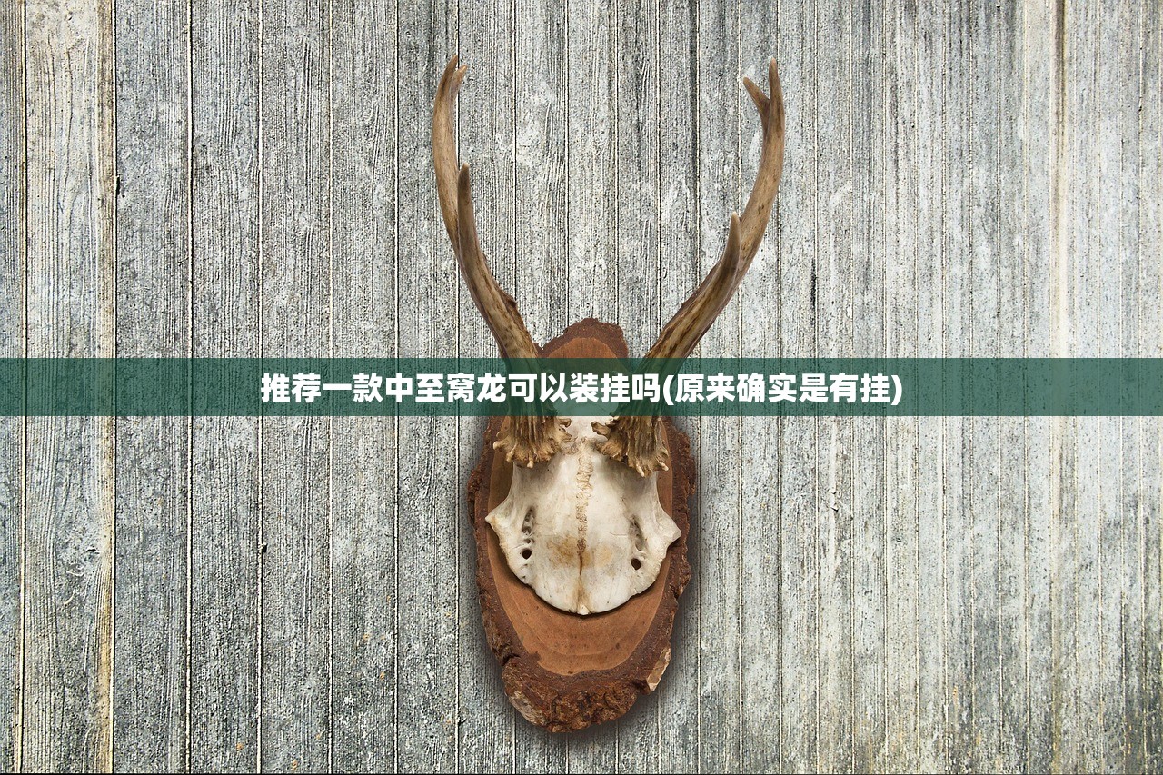 推荐一款中至窝龙可以装挂吗(原来确实是有挂)