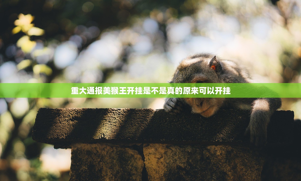 重大通报美猴王开挂是不是真的原来可以开挂