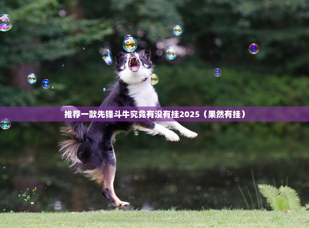 推荐一款先锋斗牛究竟有没有挂2025（果然有挂）