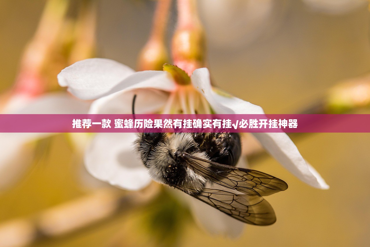 推荐一款 蜜蜂历险果然有挂确实有挂√必胜开挂神器