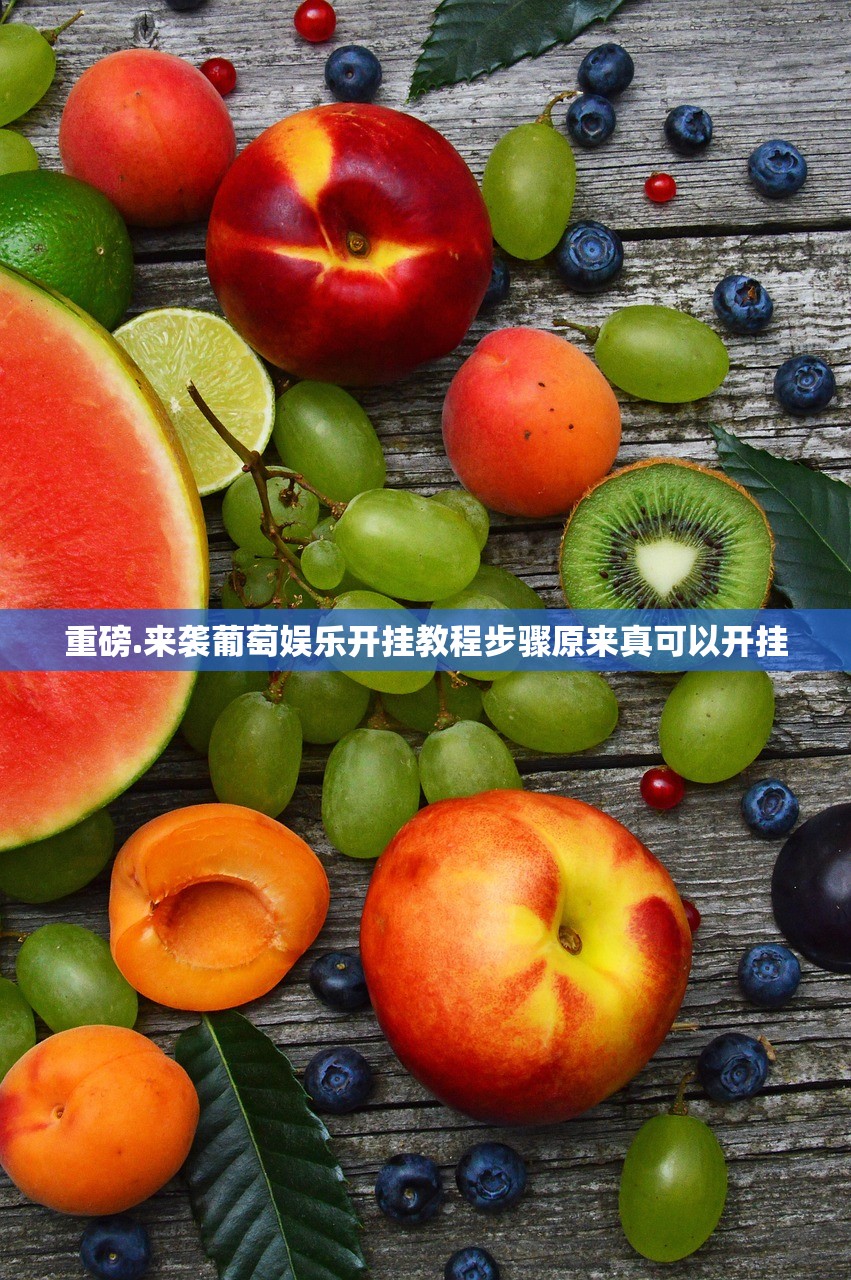 重磅.来袭葡萄娱乐开挂教程步骤原来真可以开挂