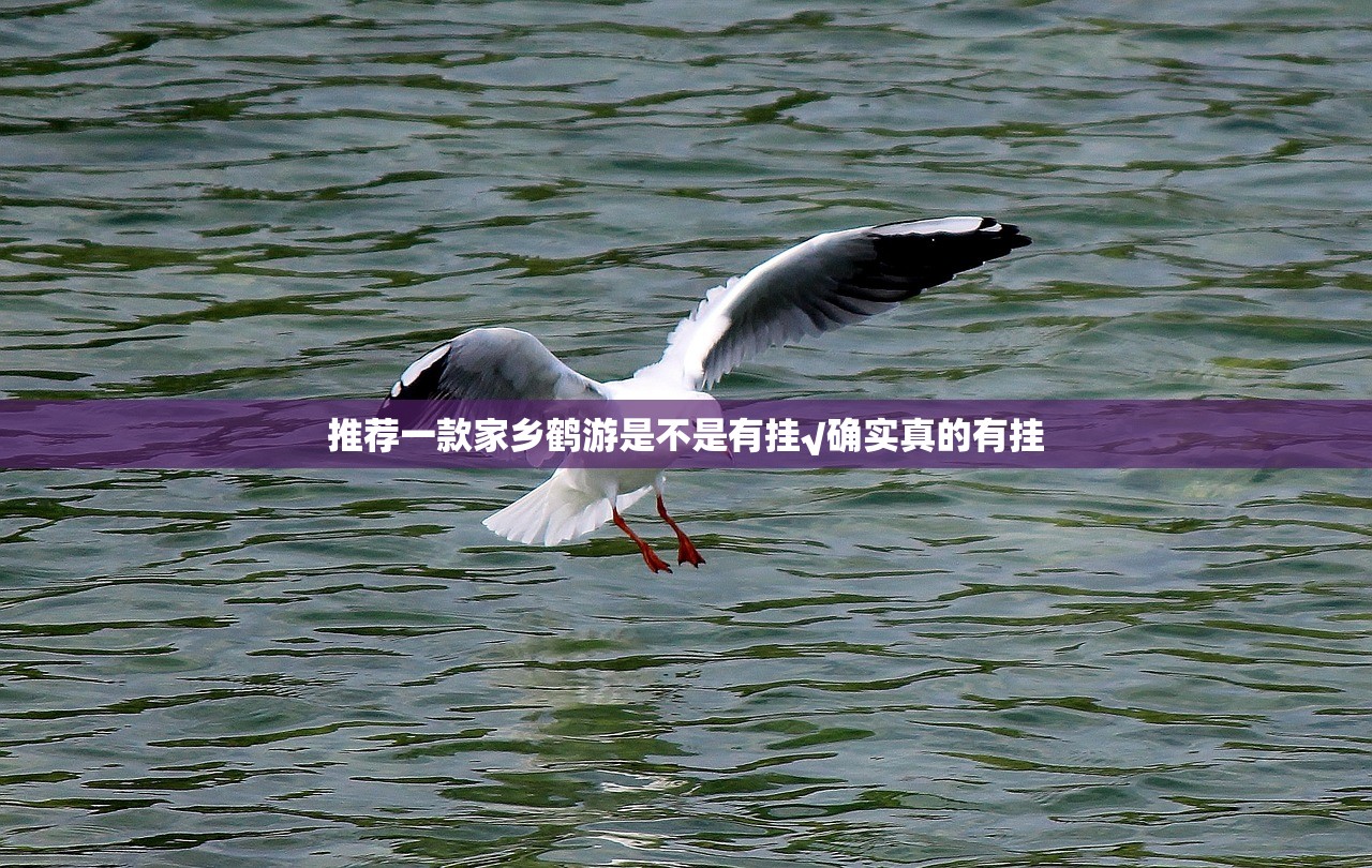 重大通报火神开挂神器!详细开挂教程(真的有挂)-知乎