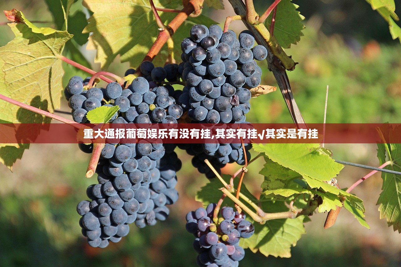 重大通报葡萄娱乐有没有挂,其实有挂√其实是有挂