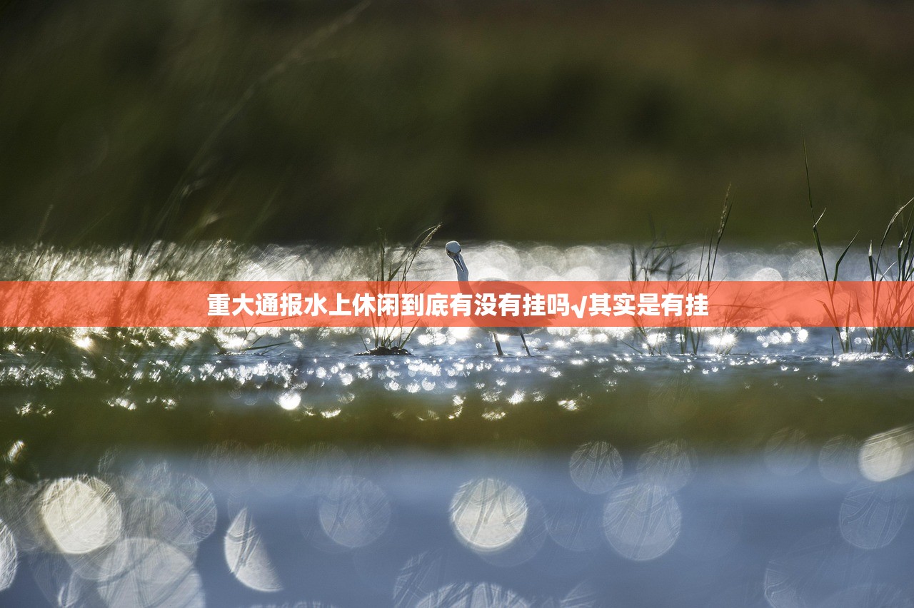 重大通报水上休闲到底有没有挂吗√其实是有挂