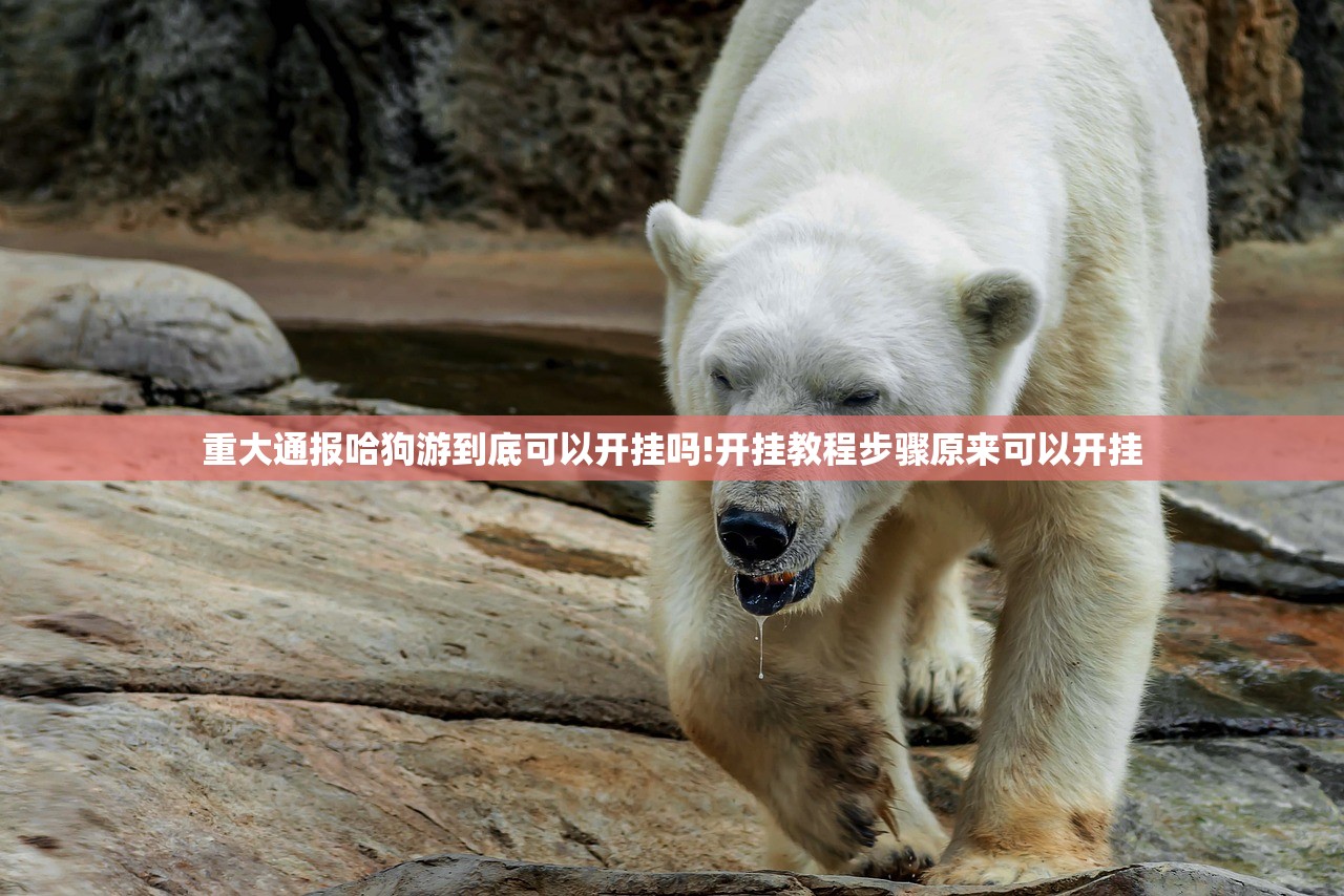 重大通报哈狗游到底可以开挂吗!开挂教程步骤原来可以开挂