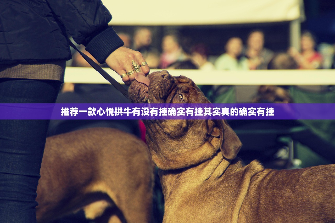 推荐一款心悦拱牛有没有挂确实有挂其实真的确实有挂