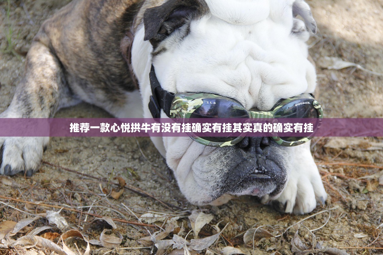 推荐一款心悦拱牛有没有挂确实有挂其实真的确实有挂
